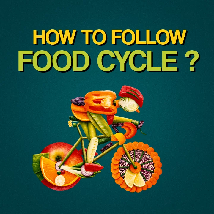 How to follow Food Cycle? | 