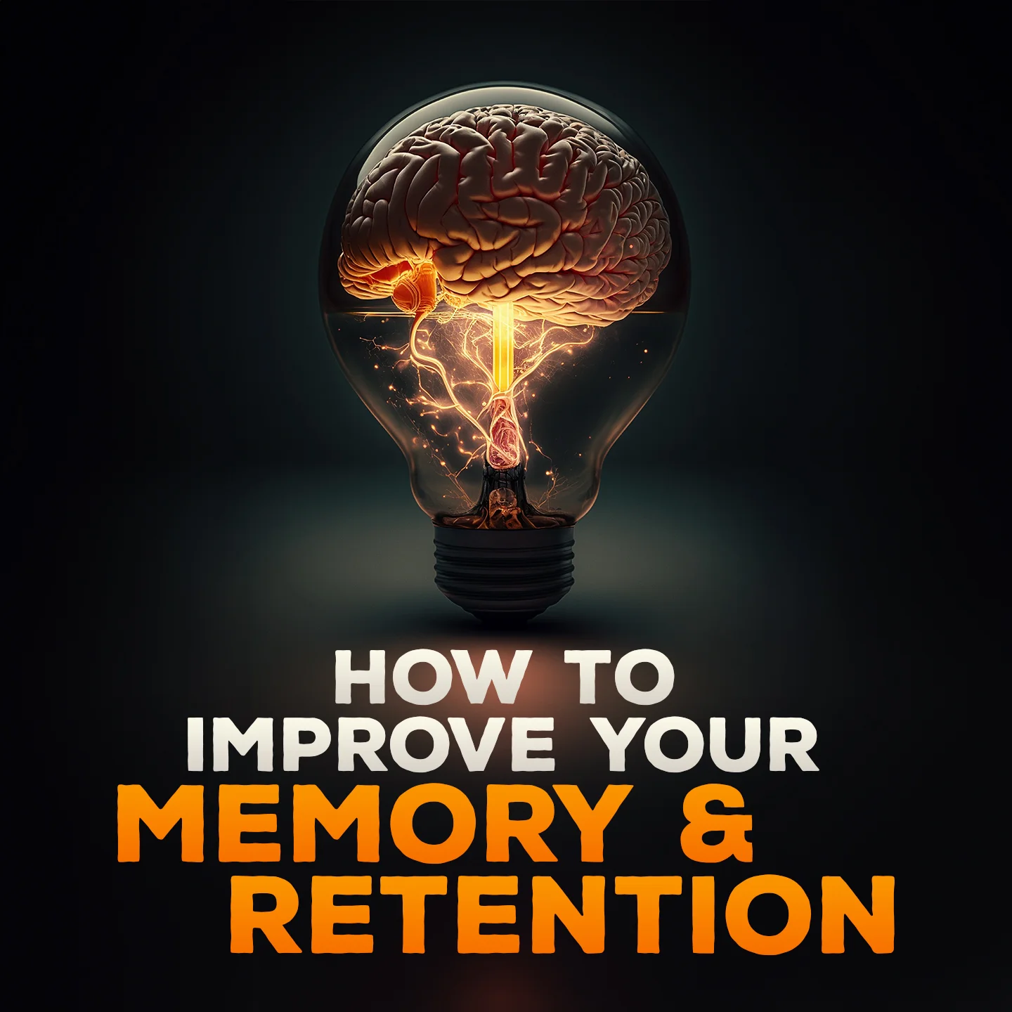 How To Improve Your Memory & Retention