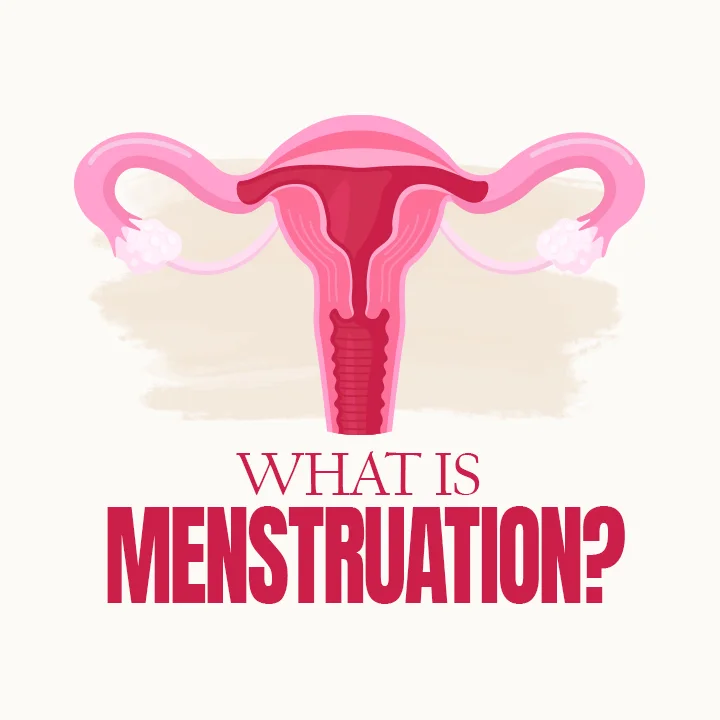 what-is-menstruation