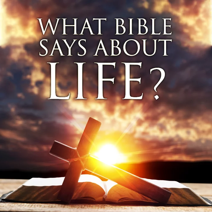 What Bible says about Life? | 