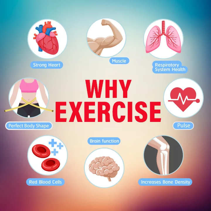 Why Exercise