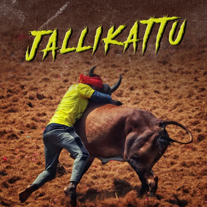 1. Jallikattu | 
