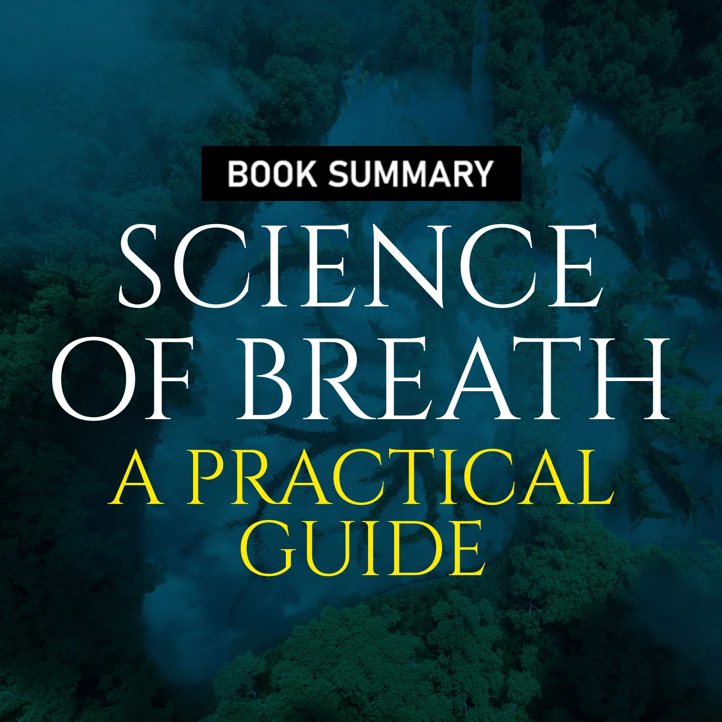 10. Mechanism Of Breath