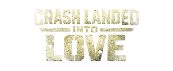 Crash Landed Into Love title