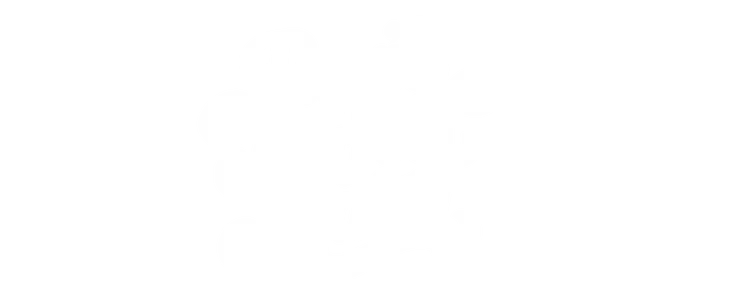 Papa's Perfect Match title