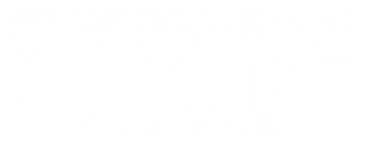 Overcoming Obstacles: Counterattack of Twin Babies title