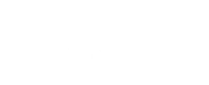 The Mysterious CEO title