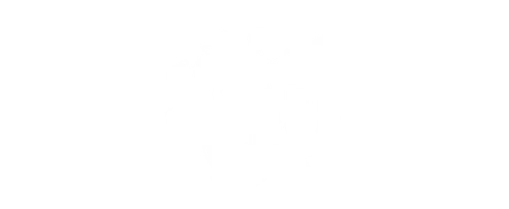 The Mysterious CEO title