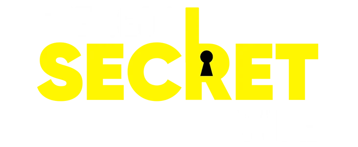 The CEO’s Secret Wife title