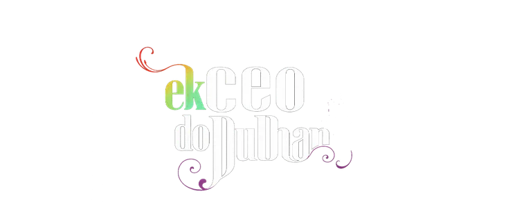 Ek CEO Do Dulhan title