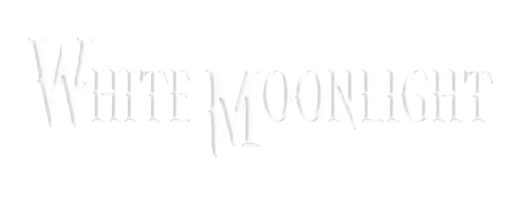 Became the Ex-Wife's White Moonlight After My Death title