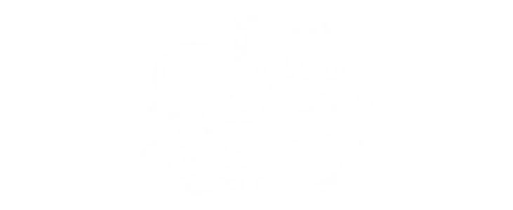 The despot's awakening title