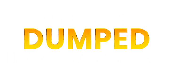 After Being Dumped, I Married a Rich Heir in a Flash title