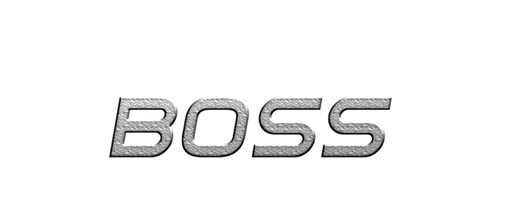 The Final Boss title