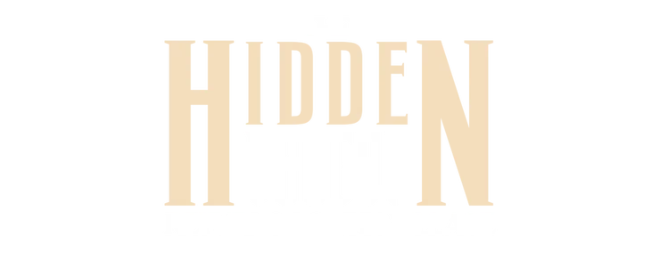 The Hidden Dragon Returns to the Village title
