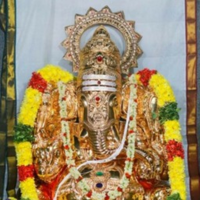Mohan M's avatar