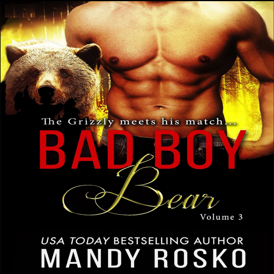 Poster_Bad Boy Bear: Volume 2