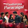 Poster_Paatharasa Paravaigal