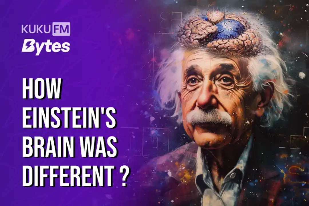 How Einstein S Brain Was Different