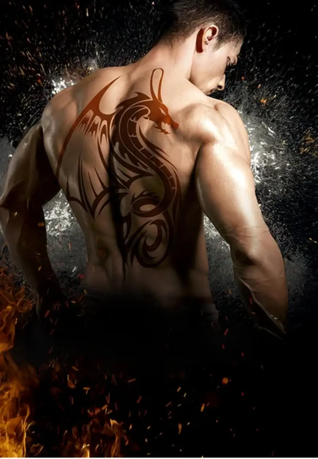 Dragon Dreams And Fairy Wings