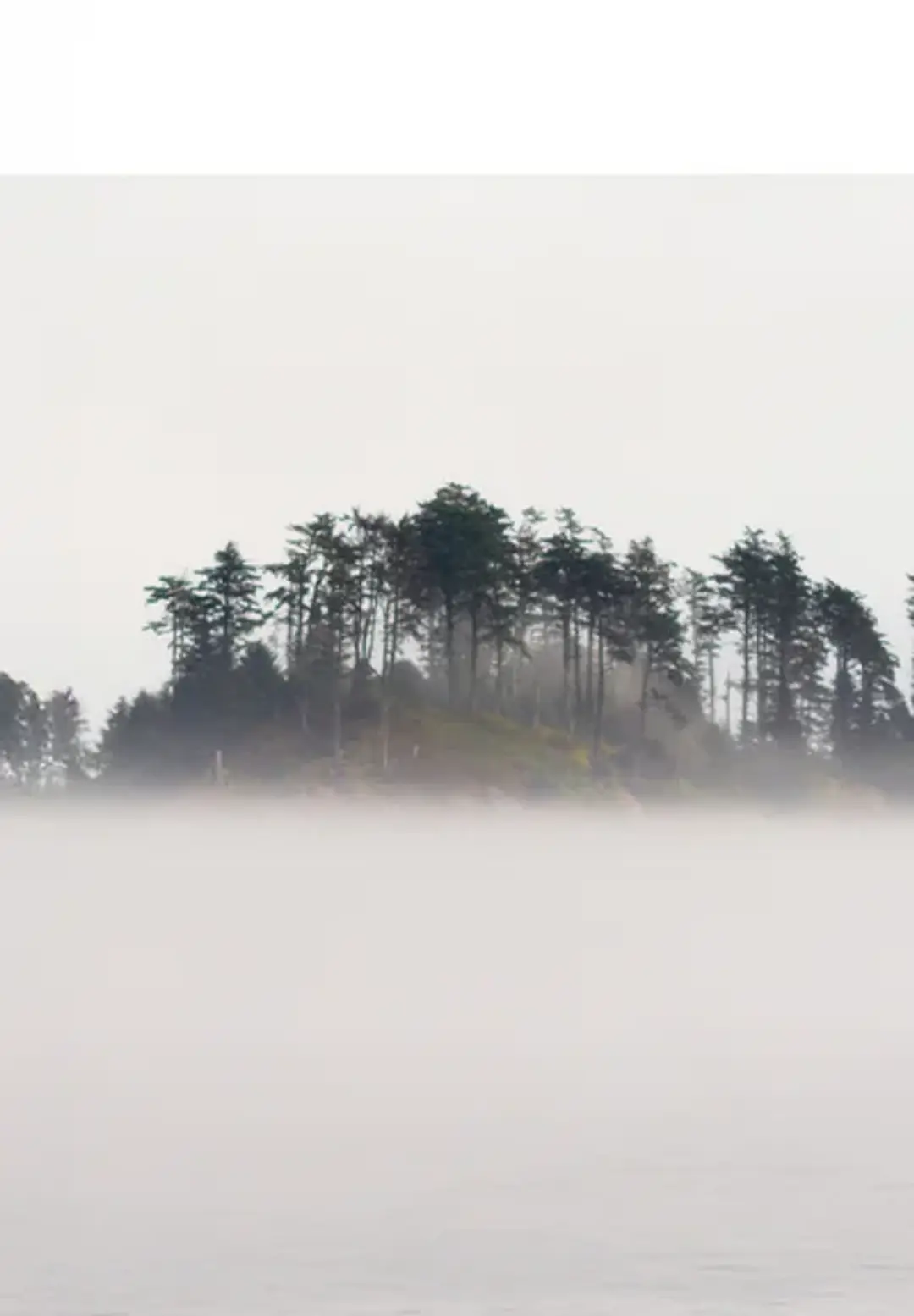 The Island Of Doctor Moreau