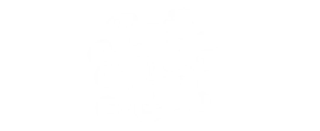 Papa's Perfect Match