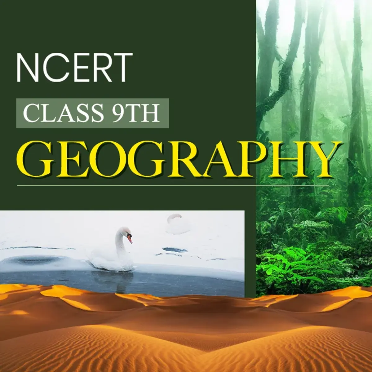 NCERT Class 9th Geography