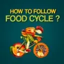 How to follow Food Cycle?