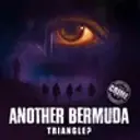 Another Bermuda Triangle?