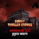 Sunday Thriller Stories: Kolkatar 10 Vuture Jayga 