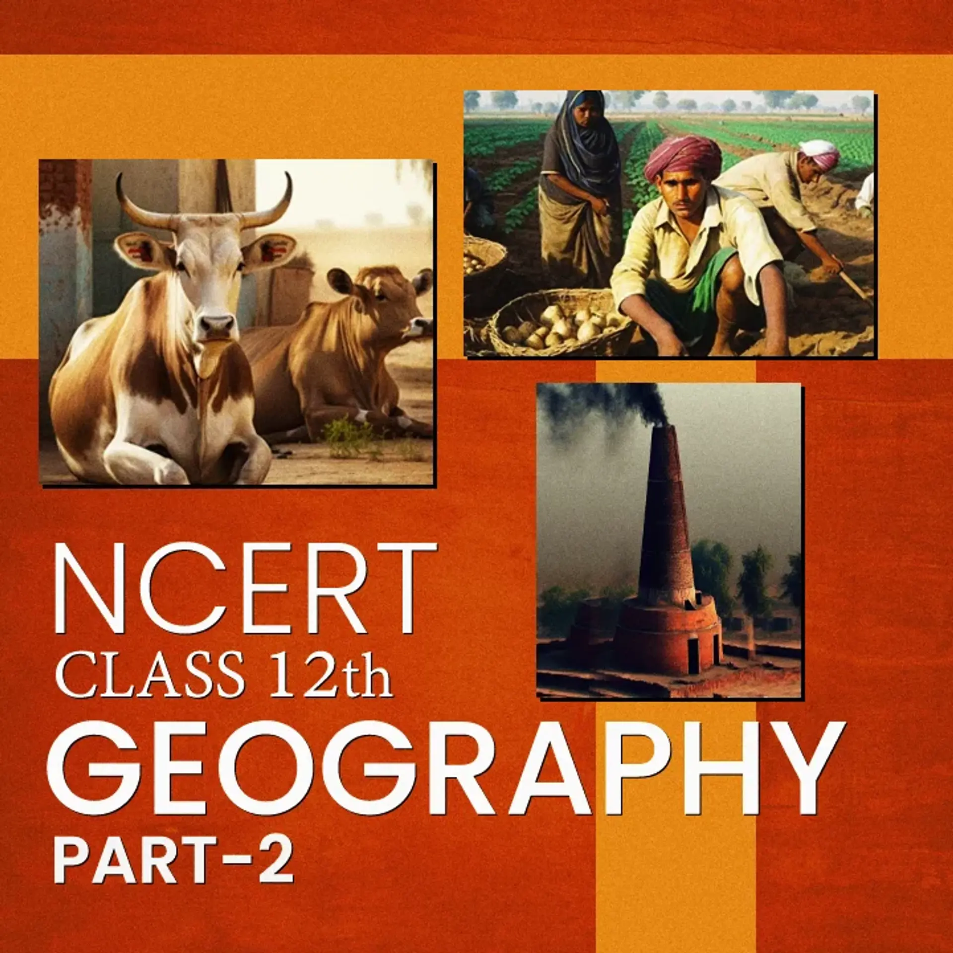 NCERT Class 12th Geography Part  2 | 