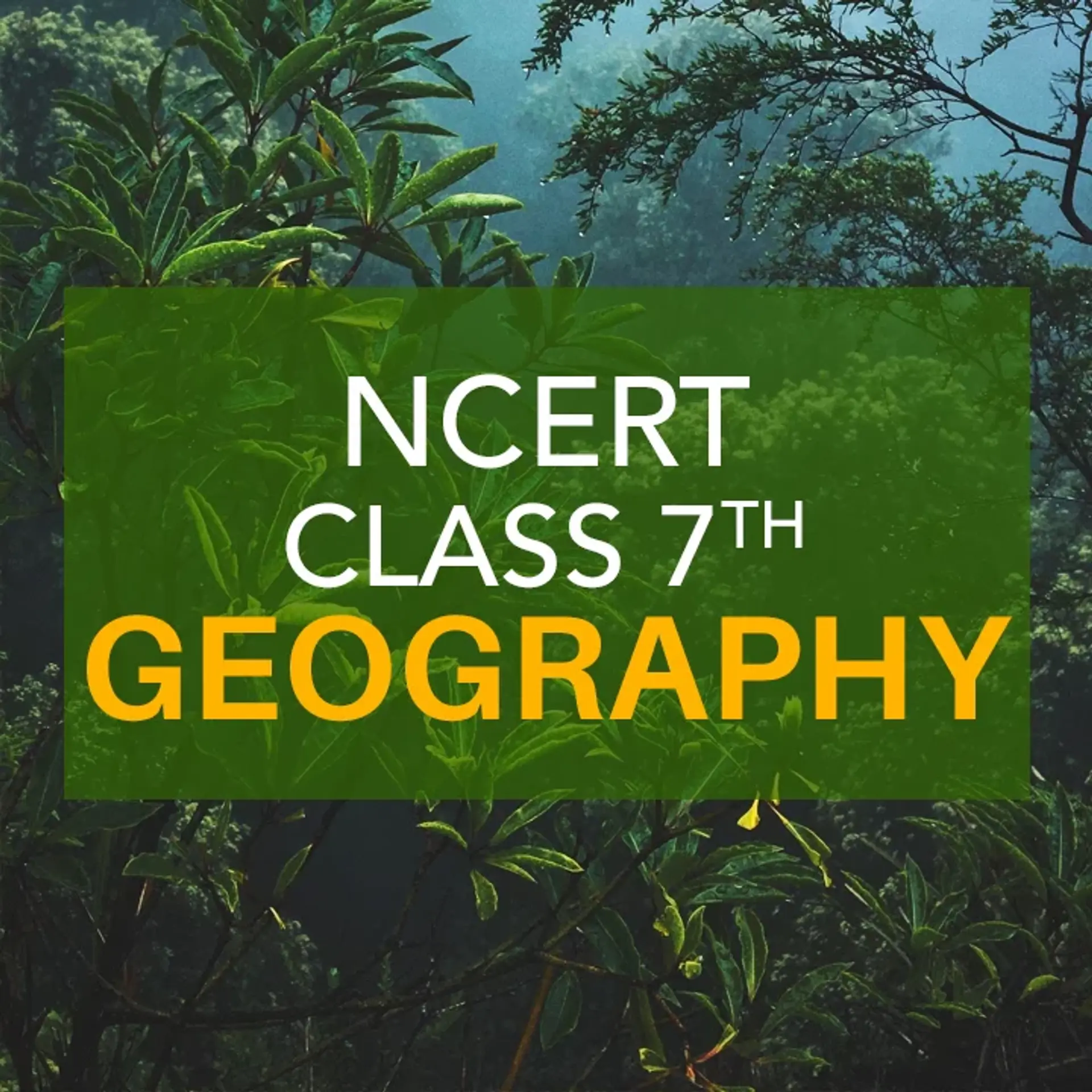 NCERT Class 7th Geography 56 OFF Gbu presnenskij ru NCERT Class 7th Geography 56 OFF Gbu presnenskij ru