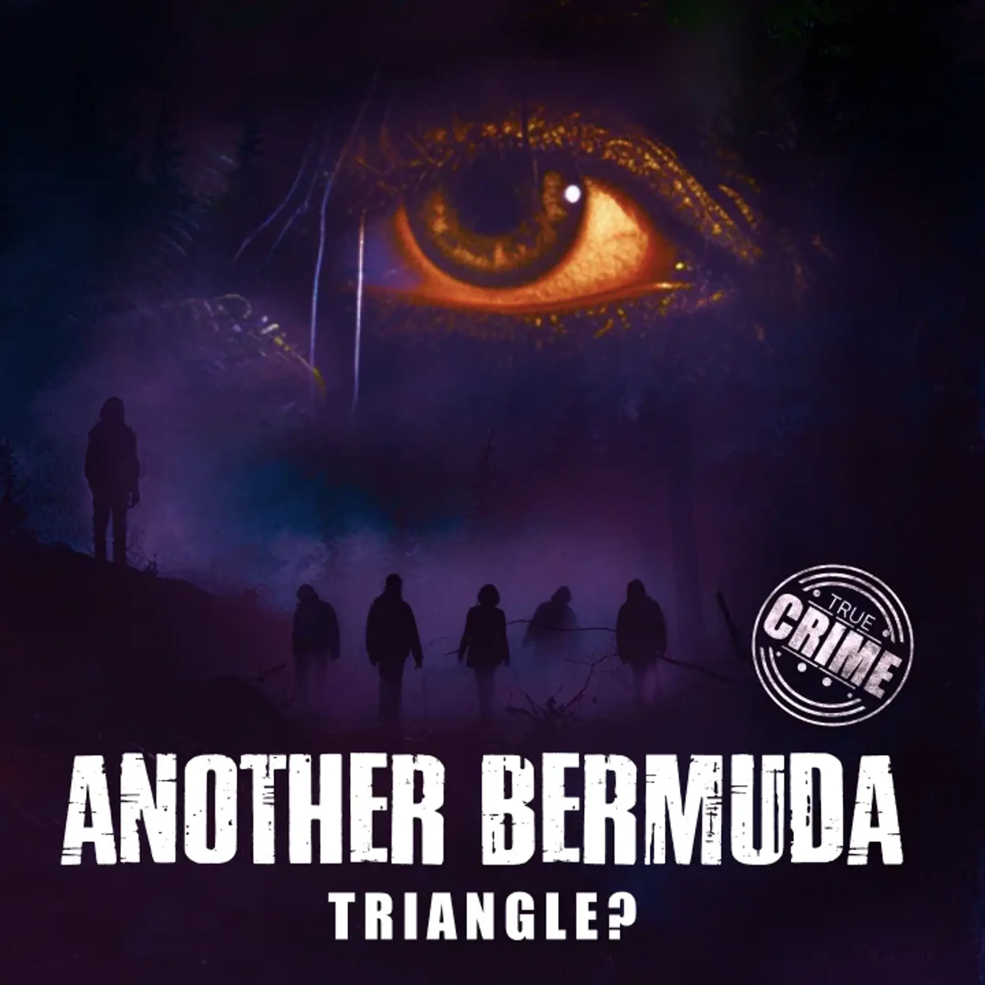 Another Bermuda Triangle? | 