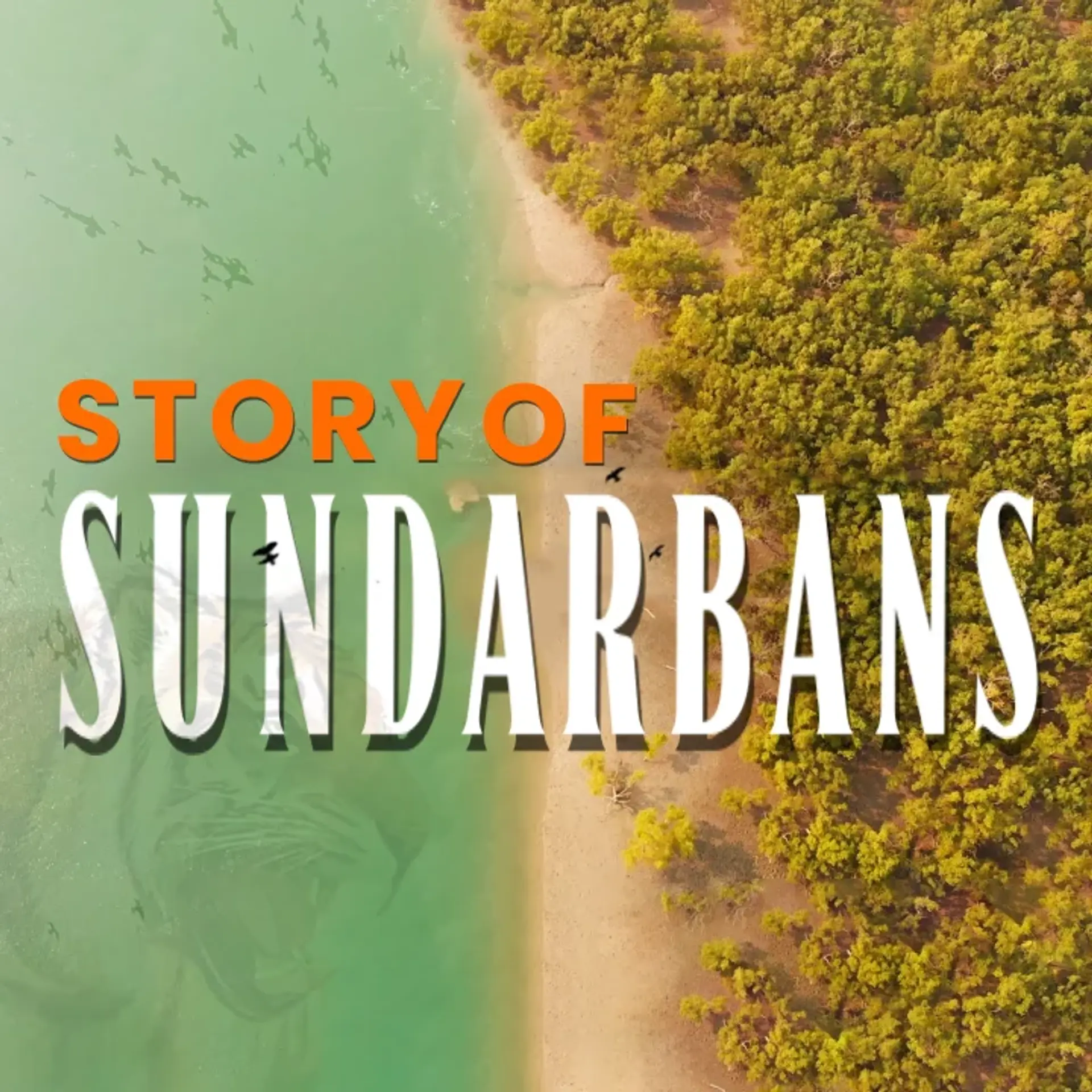 01. Sundarban Jitna Khoobsurt Utna He Khaufnaak | 