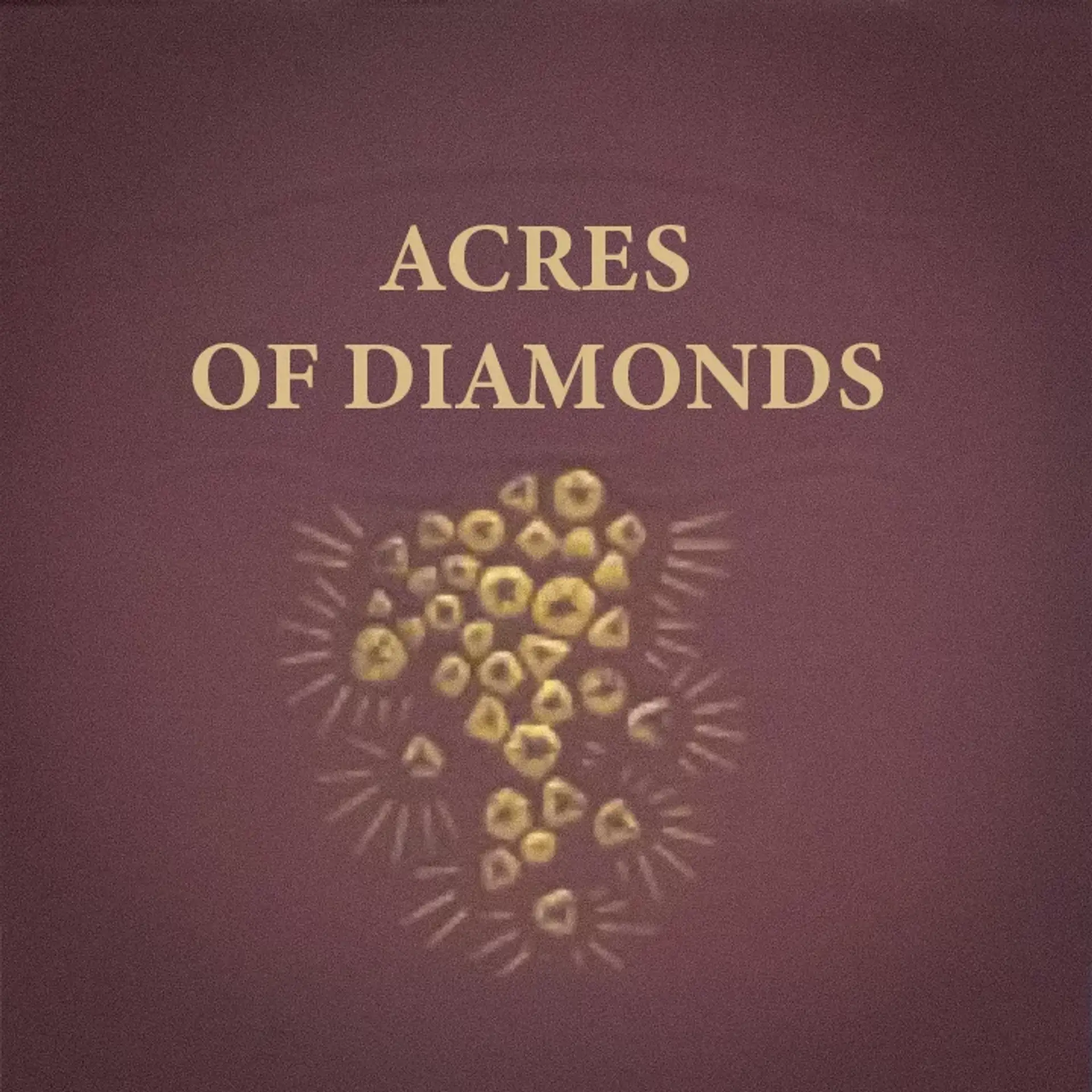 Chapter 1 - Acres of Diamonds - Part 4