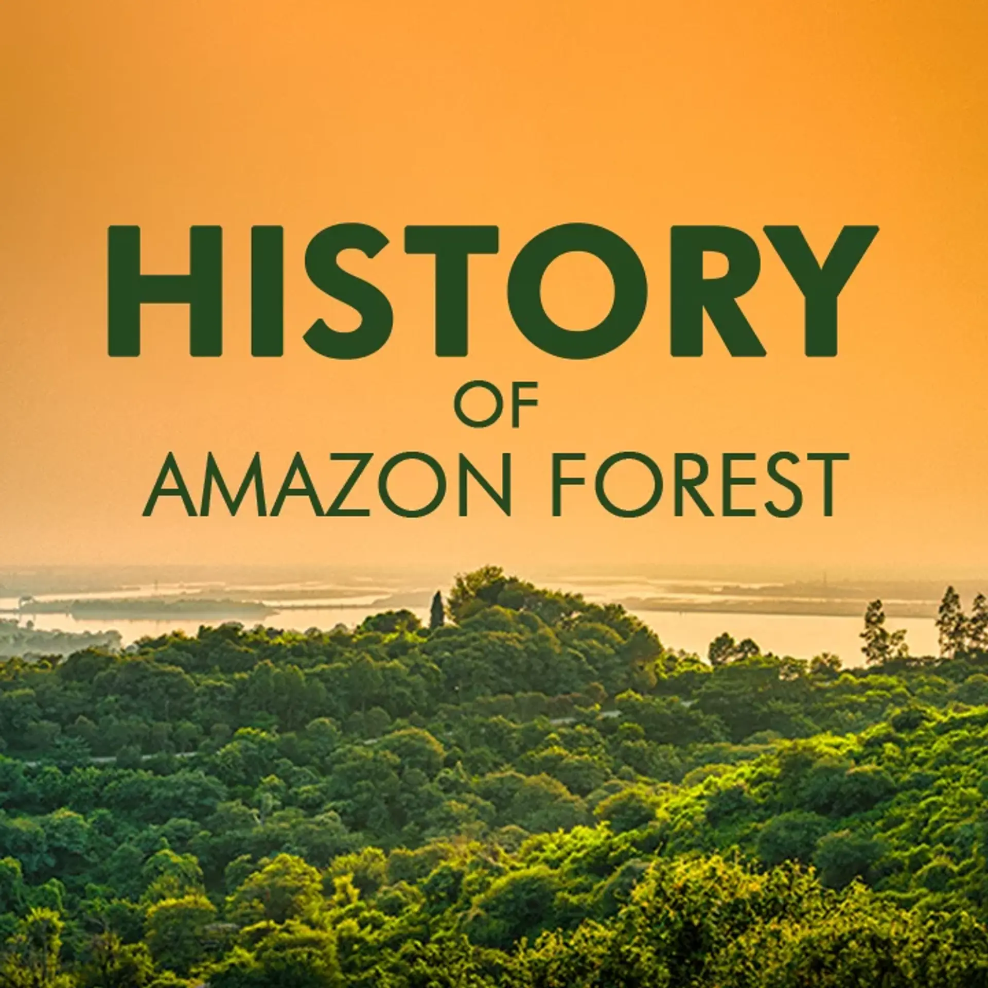 History Of Amazon Rainforest | 