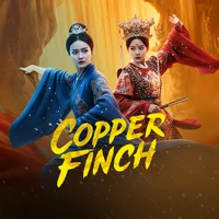 Copper finch spring is deep and beautiful.