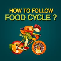 Poster_How To Follow Food Cycle