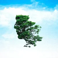 Reasons To Stay Alive 