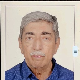 zafar sultan