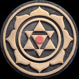 Sadhana App