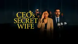 CEO's Secret Wife