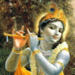 Vikas Krishna