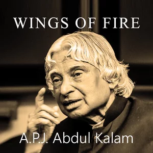 wings of fire book pdf in hindi