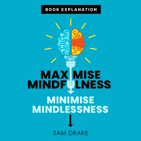 Maximise Mindfulness, Minimise Mindlessness