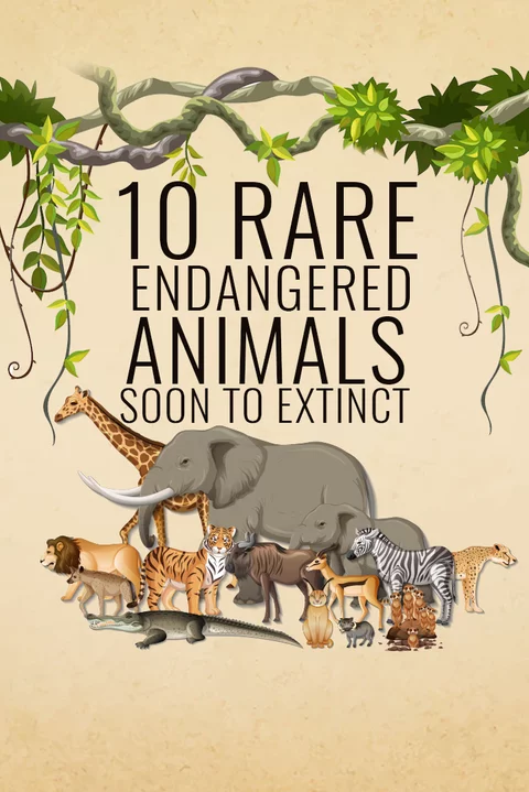 10 Rare Endangered Animals Soon to Extinct in Hindi | हिंदी | KUKUFM