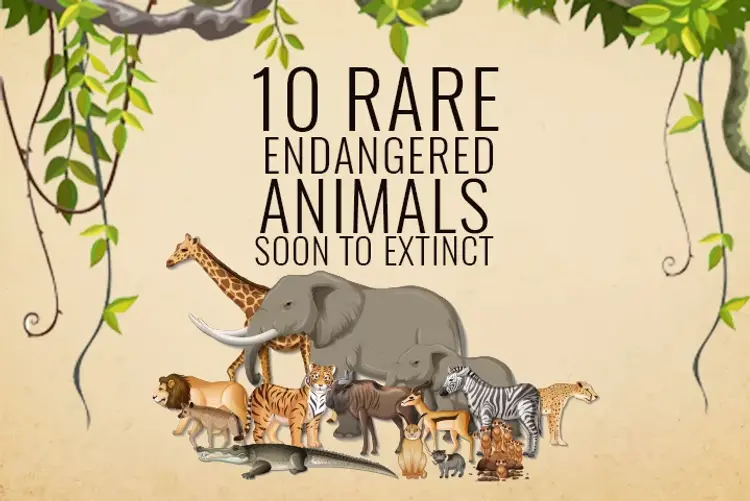 10 Rare Endangered Animals soon to Extinct