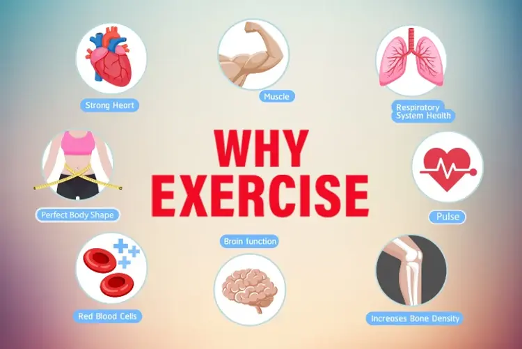 Why Exercise in hindi | undefined हिन्दी मे |  Audio book and podcasts