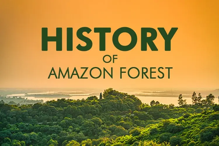 History of Amazon Forest
