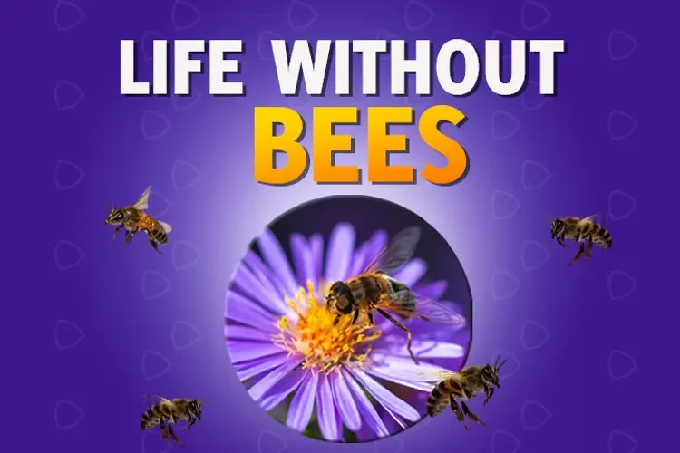 Life Without Bees in hindi |  Audio book and podcasts